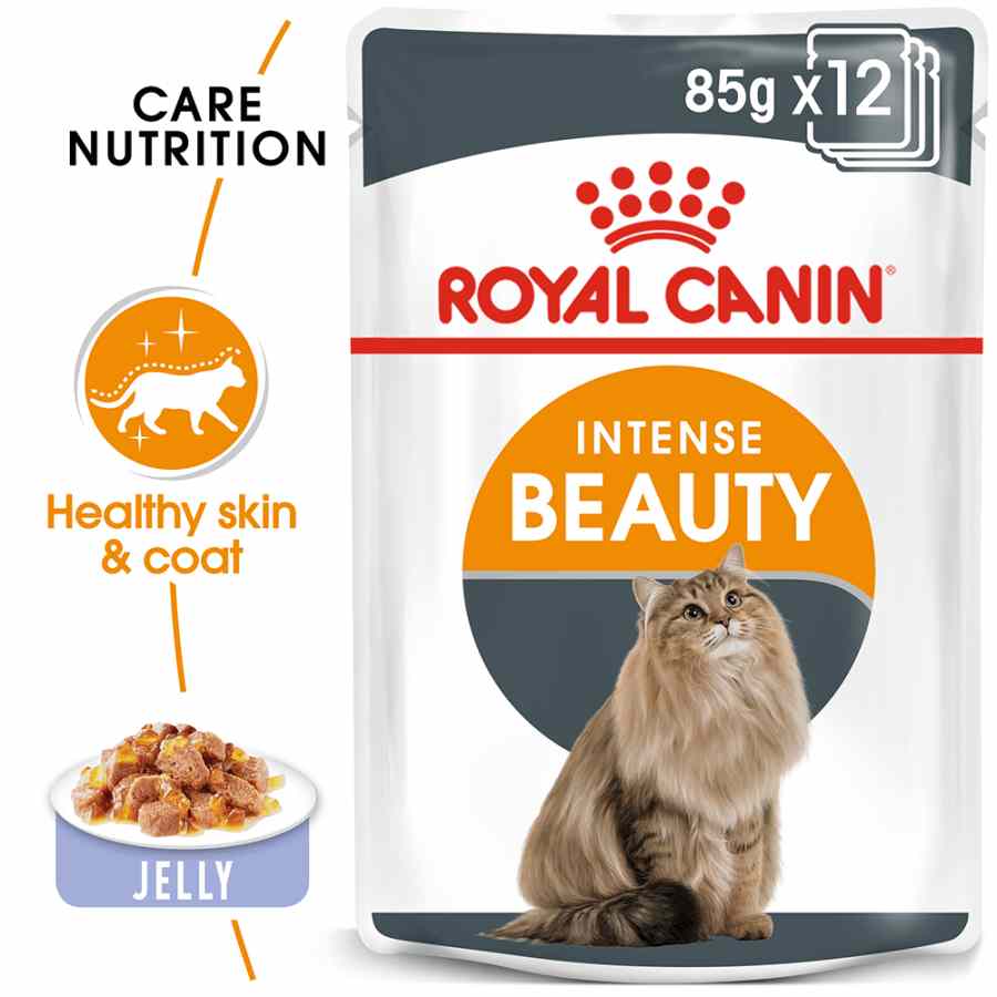 Royal Canin Intense Beauty in Jelly
