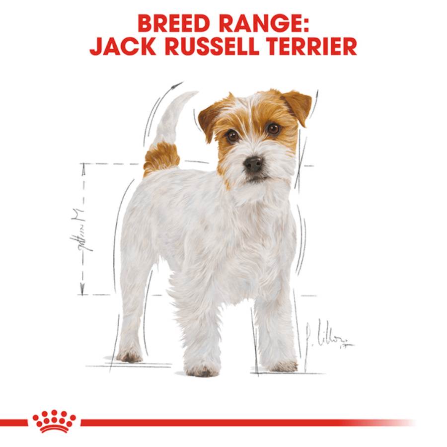 Royal Canin Jack Russell Adult Dry Dog Food