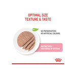 Royal Canin Kitten Loaf Wet Cat Food 12 X 85g