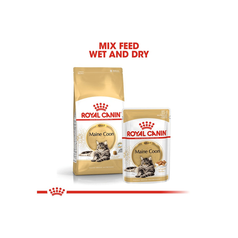 Royal Canin Maine Coon Gravy Adult Wet Cat Food 12 X 85g