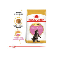 Royal Canin Maine Coon Kitten Cat Dry Food