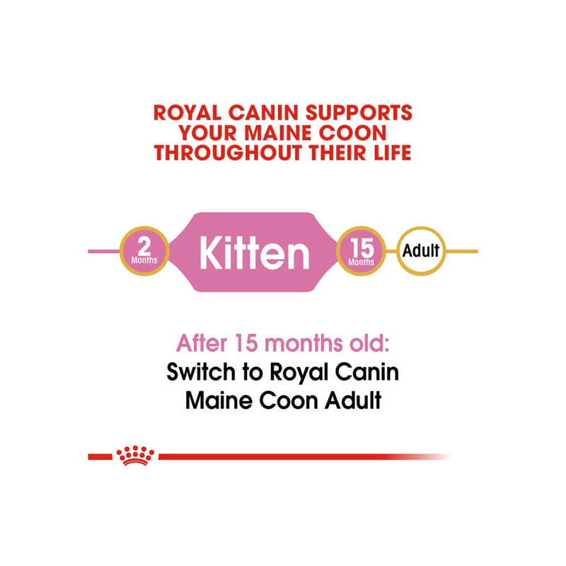 Royal Canin Maine Coon Kitten Cat Dry Food