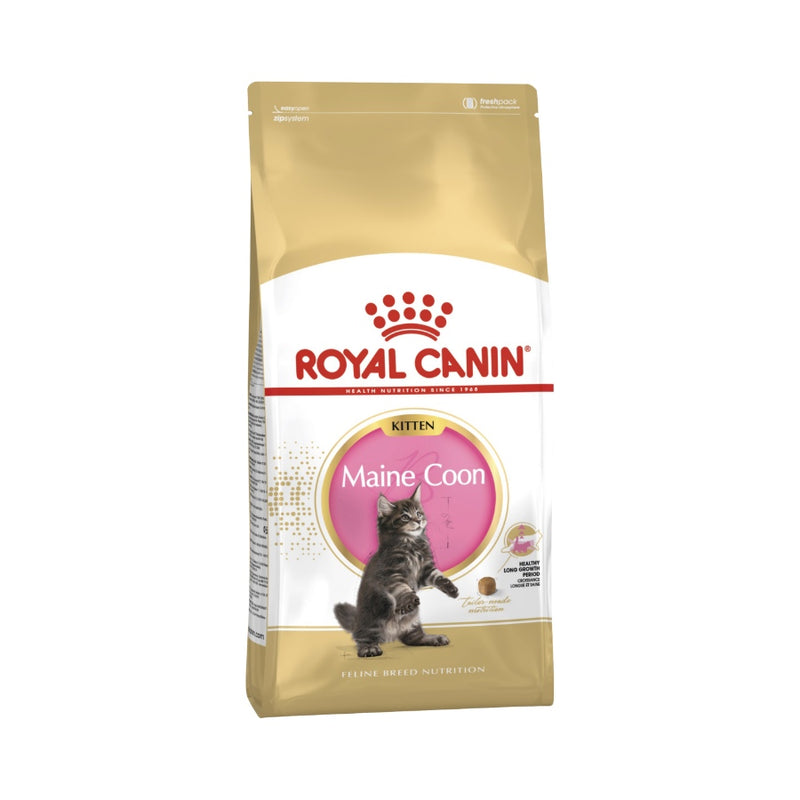 Royal Canin Maine Coon Kitten Cat Dry Food