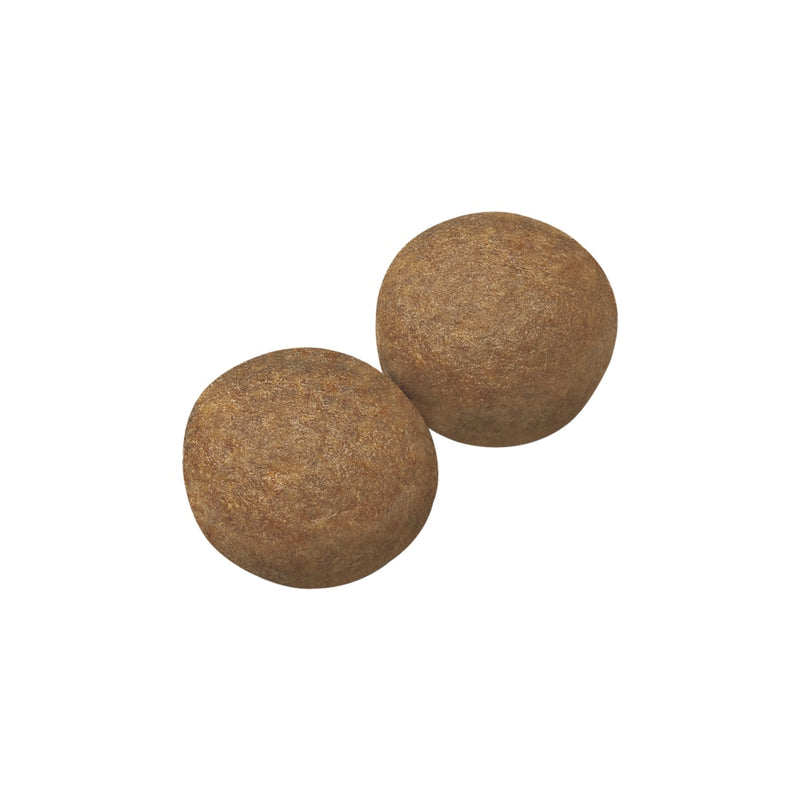 Royal Canin Maxi Adult Dry Dog Food