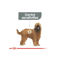 Royal Canin Maxi Dental Care Adult Dry Dog Food 9kg