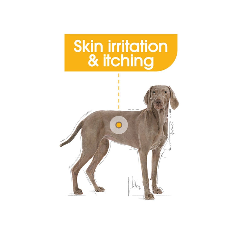 Royal Canin Maxi Dermacomfort Adult Dry Dog Food 12kg