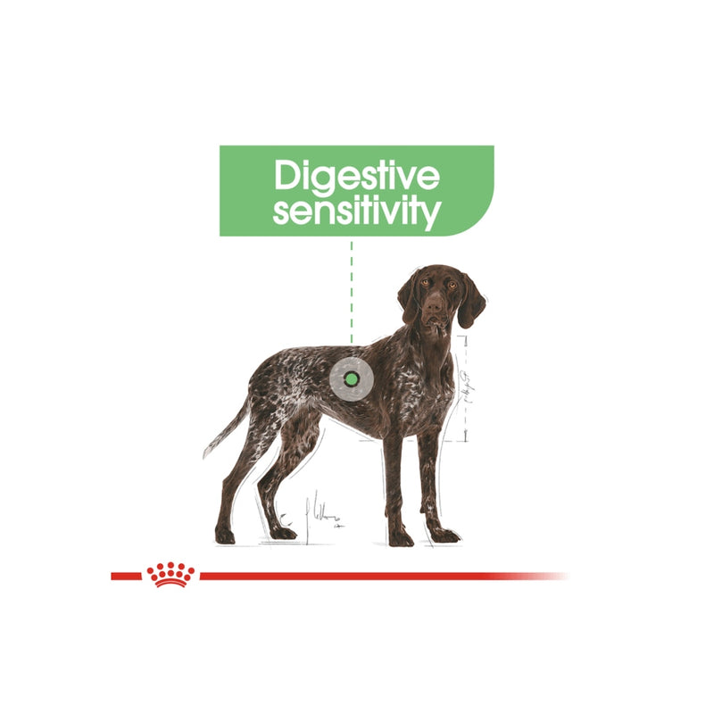 Royal Canin Maxi Digestive Care Adult Dry Dog Food 12kg