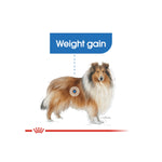 Royal Canin Maxi Light Weight Care Adult Dry Dog Food 12kg