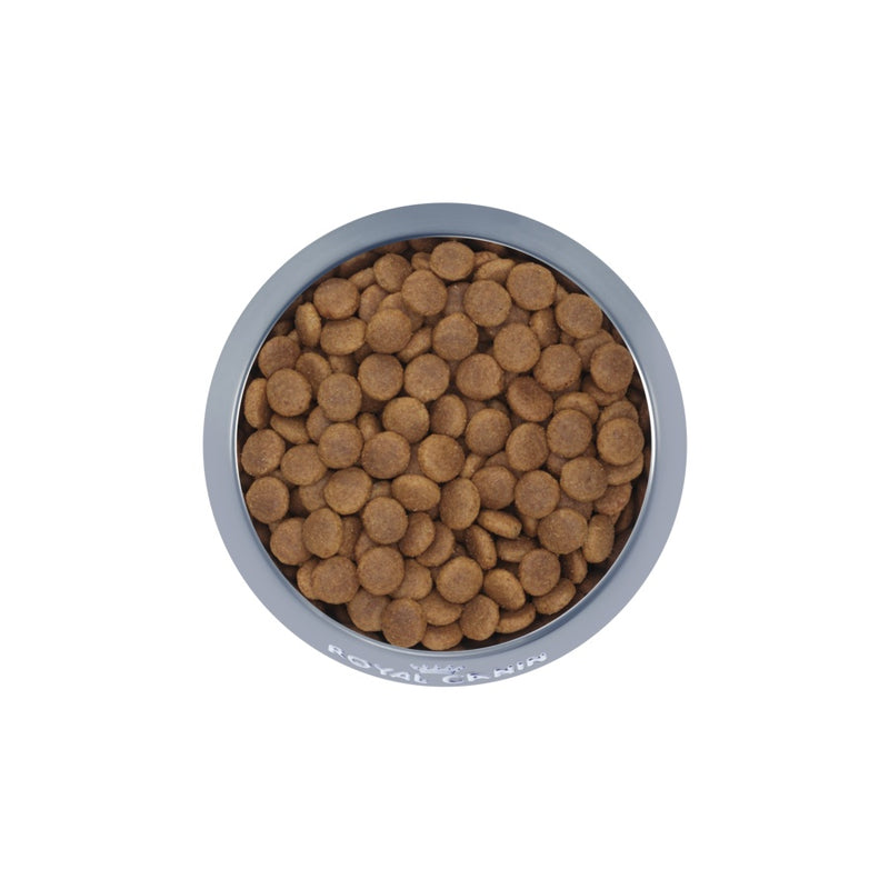 Royal Canin Medium Adult Dry Dog Food