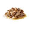 Royal Canin Mini Adult Wet Dog Food 12 X 85g
