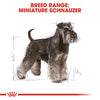 Royal Canin Miniature Schnauzer