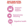 Royal Canin Mother and Babycat