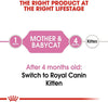 Royal Canin Mother and Babycat