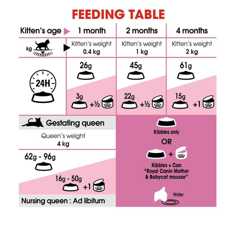 Royal Canin Mother and Babycat