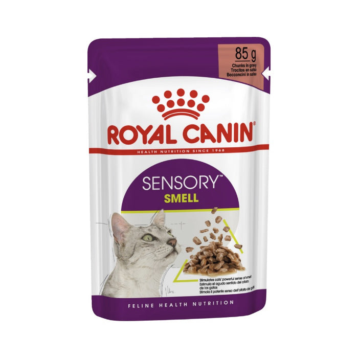 Royal Canin Sensory Smell Gravy Adult Wet Cat Food 12 X 85g