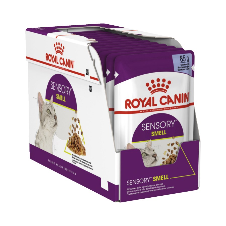 Royal Canin Sensory Smell Jelly Adult Wet Cat Food 12 X 85g