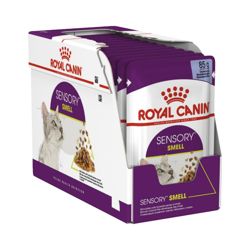 Royal Canin Sensory Smell Jelly Adult Wet Cat Food 12 X 85g