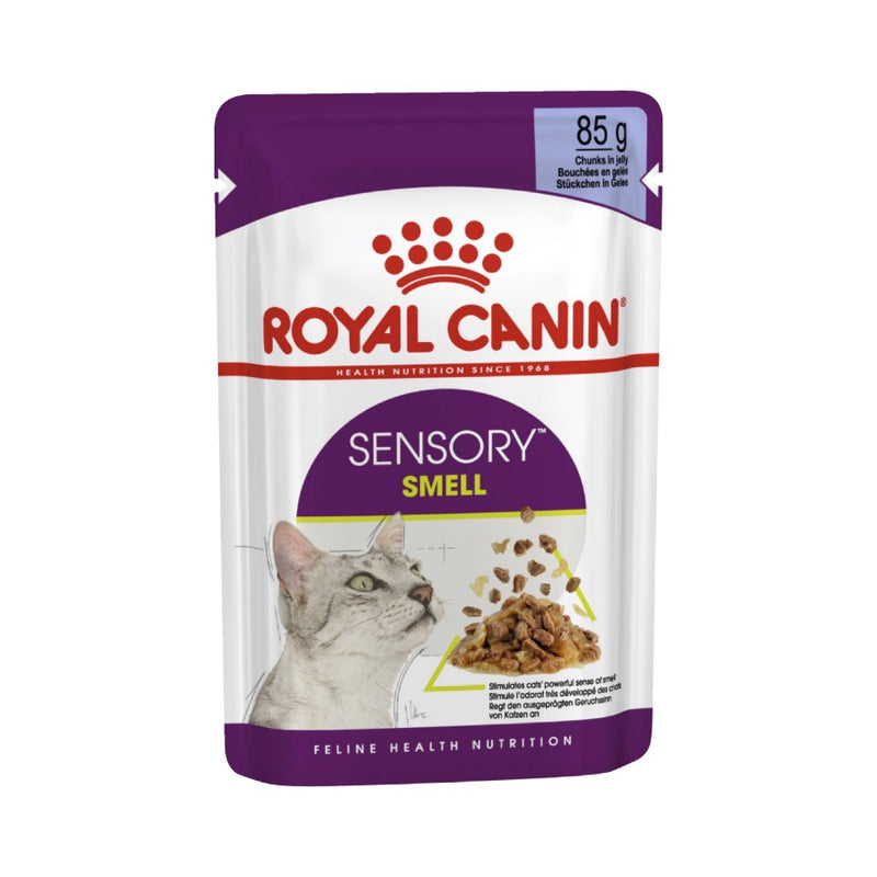 Royal Canin Sensory Smell Jelly Adult Wet Cat Food 12 X 85g