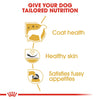 Royal Canin West Highland Terrier