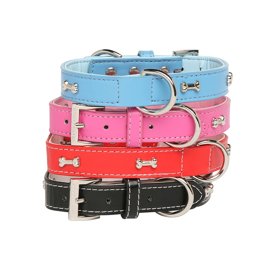 Coco dog clearance collar