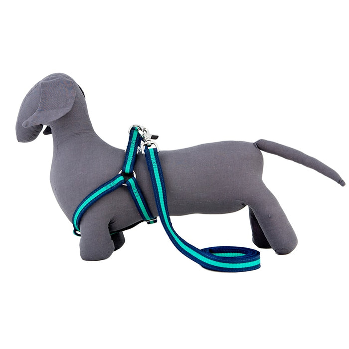 Rufus And Coco Bronte Harness Blue