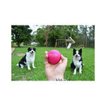 Scream Rubber Ball Dog Toy Loud 6cm