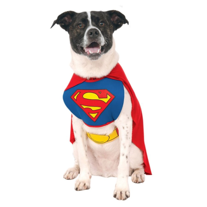 Superman Classic Pet Costume