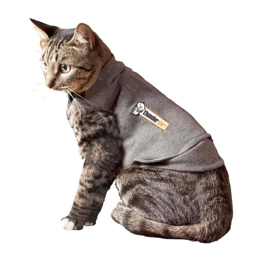 Cat 2025 thunder jacket