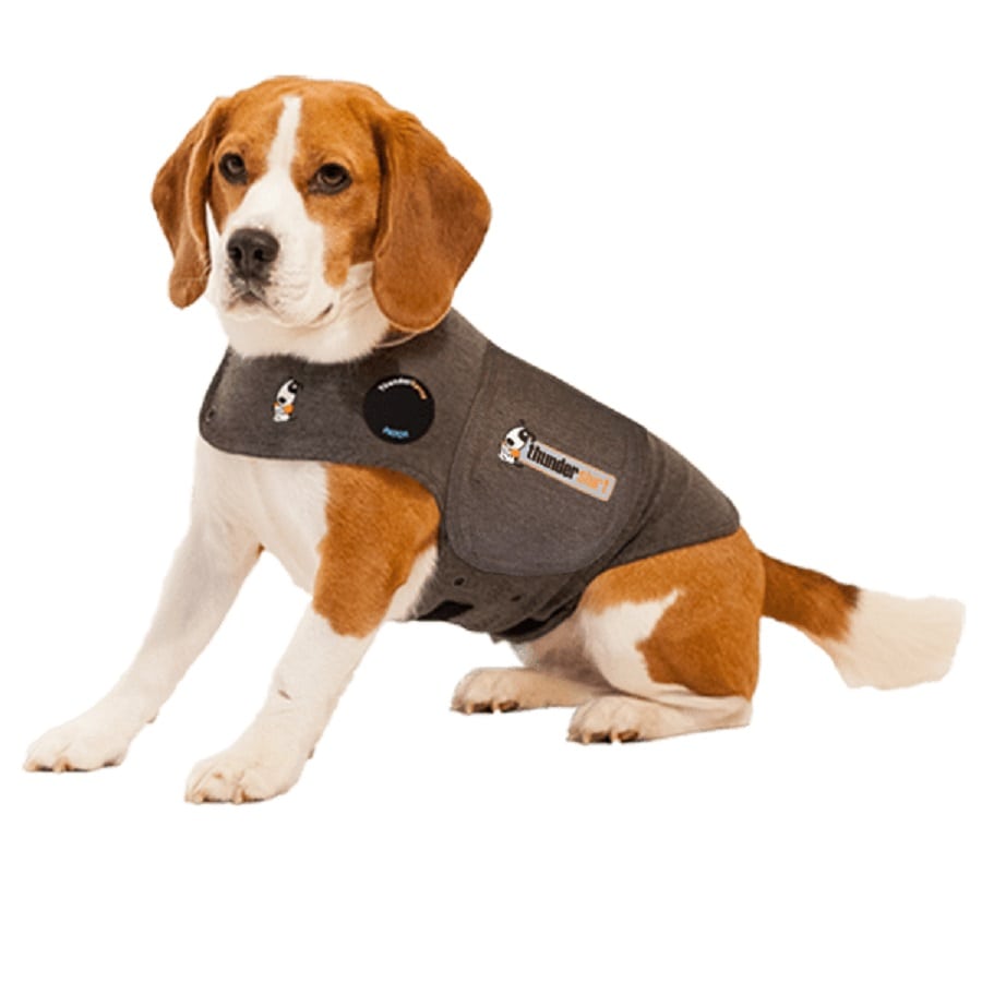 ThunderShirt Dog Anxiety Jacket Grey – Pet Supplies Empire