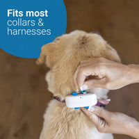 Tractive LTE GPS Tracker for Dogs