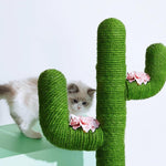 Vetreska Cat Scratching Tree Cactus