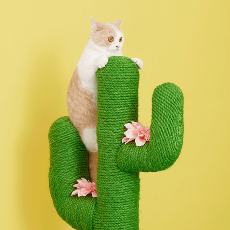 Vetreska Cat Scratching Tree Cactus