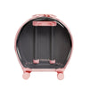 Vetreska Peach Semi Transparent Luggage