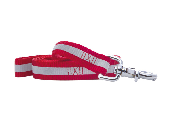 Rufus and Coco's Kings Cross dog lead has reflective nylon stripes for night safety. Made with comfortable nylon, this dog lead is perfect for your dog for any activity or occasion.